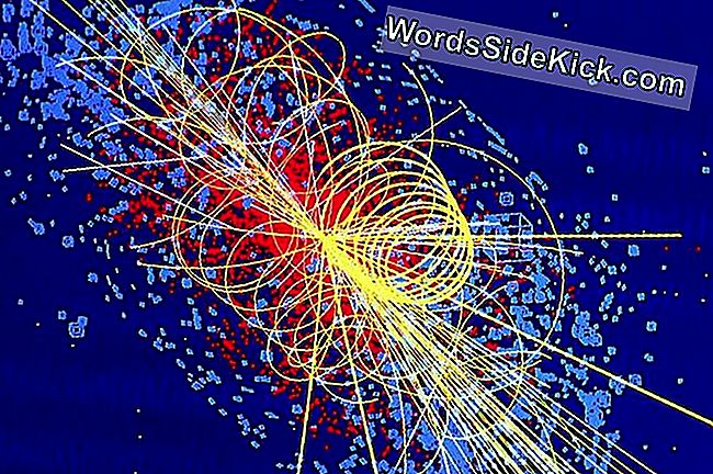 Een simulatie van een deeltjesbotsing waarbij een Higgs-deeltje wordt geproduceerd in de grootste atom-smasher ter wereld, de Large Hadron Collider.