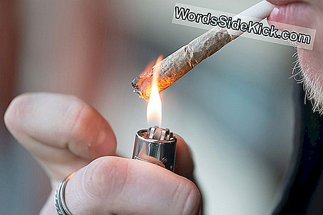 Maakt Marijuana Je Stom?