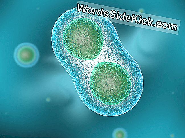 เกือบสองในสามของโรคมะเร็งเกิดจาก 'ข้อผิดพลาด' แบบสุ่มของ Dna