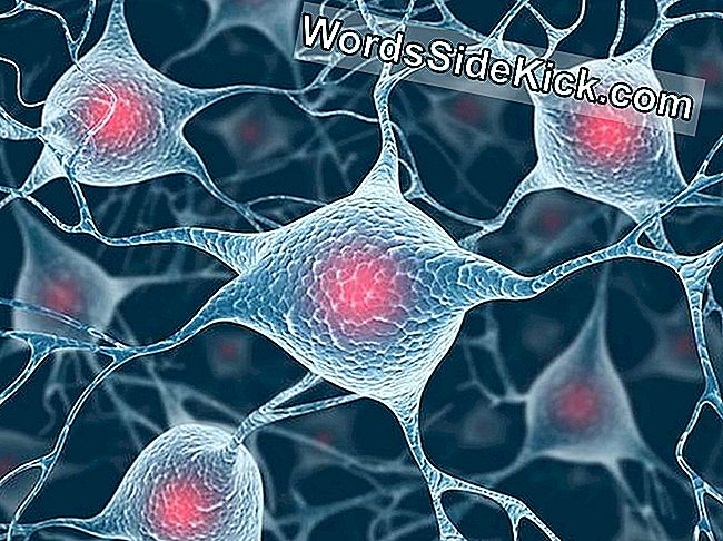 dna損傷にリンクされた正常な脳活動 2021 健康