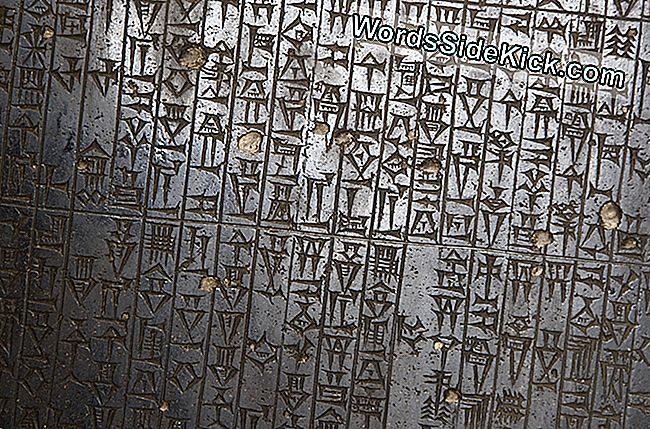 Dettaglio del codice di Hammurabi. Le leggi sono state cesellate nella stele di basalto in cuneiforme.