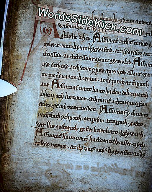 În fotografii: Manuscrisul medieval dezvăluie fețele fantomate: medieval