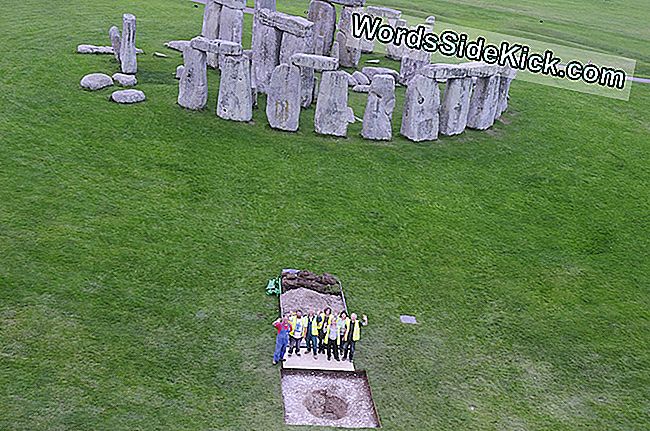 Nieuw Stonehenge Mystery: Who Were These 10 'Outsiders' Buried At The Site?