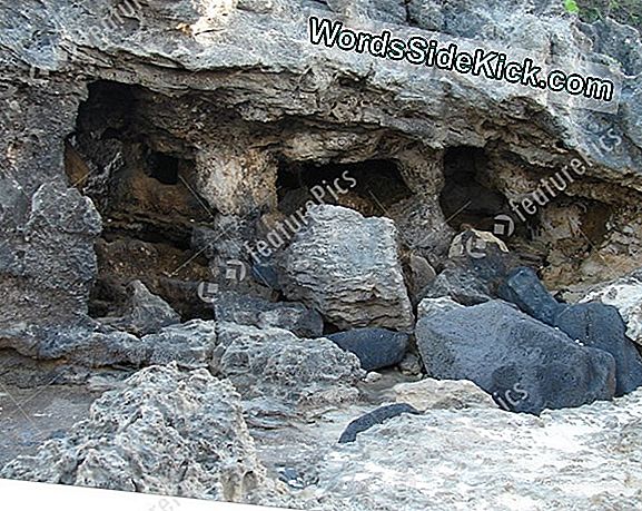 Hawaiian Cave Onthult Oude Geheimen