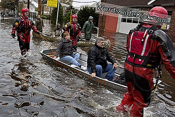 Hurricane Sandy'S Impact (Infographic)