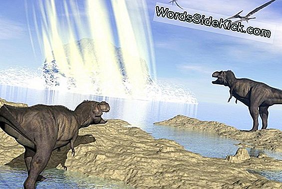 Dino-Killing Meteorite Wist Hagedissen Ook