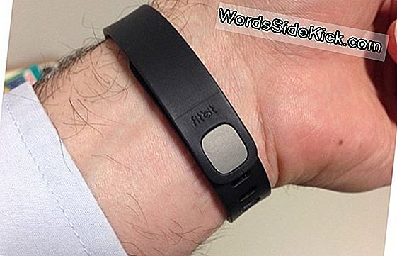 Fitbit Flex: Fitness Tracker Review