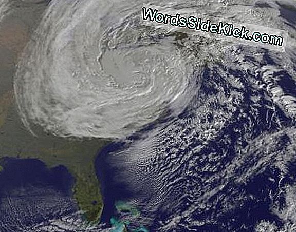 Frankenstorm Sandy Spotted Sterven Op Halloween