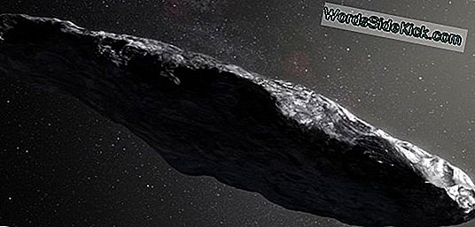 Gevaar! Falling Rocks: Meteorites And Asteroids (Infographic)