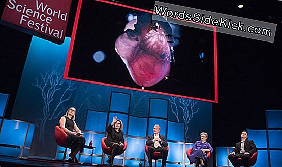 World Science Festival 2017: Watch It Live