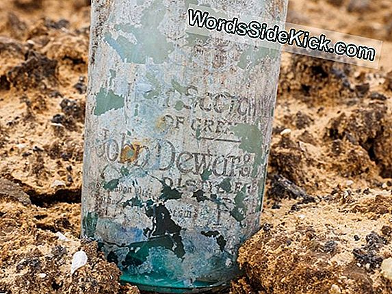 British Wwi Stash Uncovered: Hunderte Von Schnapsflaschen