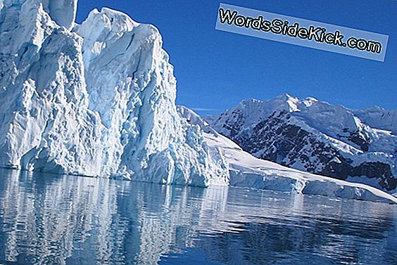 Zwoele! Antarctica Hit Record-Breaking 63 Graden F In 2015