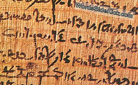 Ancient Papyrus Onthult De Gekke Theorie Van Galen Over 'Hysterical Suffocation'