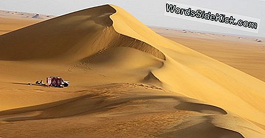 Sahara Desert War Einmal Üppig Und Bevölkert