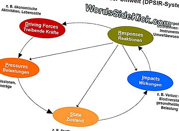 Saurer Regen Ursachen Auswirkungen Und Losungen 2021 Planet Erde