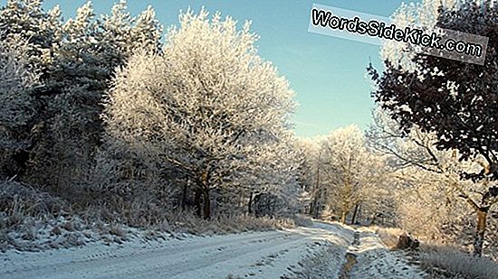 Warum Der Frühling Jedes Jahr Um 30 Sekunden Kürzer Wird