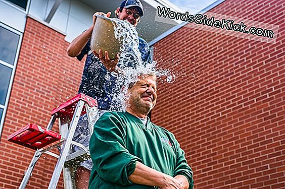 Ice Bucket Challenge Bargeld Half, Als-Genentdeckungen Zu Bezahlen