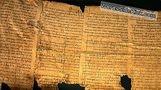 Sind Das Museum Der Schriftrollen Vom Toten Meer Der Bibel Falschungen 21 Geschichte
