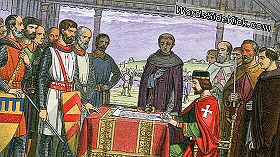 Was Ist Die Magna Carta?