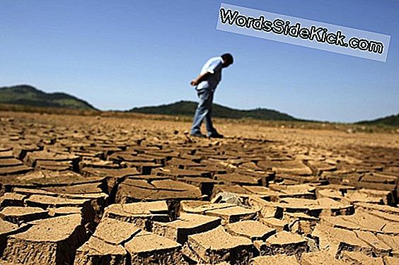 Der Klimawandel Verändert Die Nahrungsversorgung Der Welt