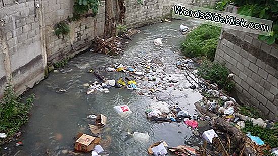 Desde CAYEY: aguas puras y seguridad alimentaria o un estacionamiento de  4,300 vehículos en tierras inundables - Claridad