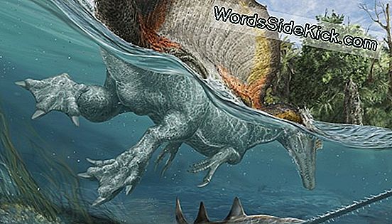 DINOSSAUROS AINDA EXISTEM? CONHEÇAM O MOKELE MBEMBE UM DINOSSAURO