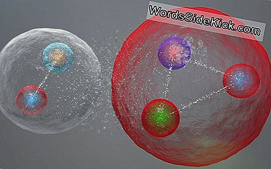 Hoe Houden Ze De Deeltjes In De Lhc Bij?