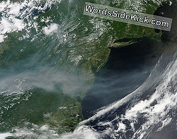 Afbeelding: Northwest Wildfire Smoke Reaches Atlantic