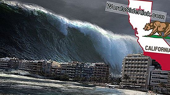 California Tsunami Pahali Sonrasi Olacak 2021 Dunya Gezegeni