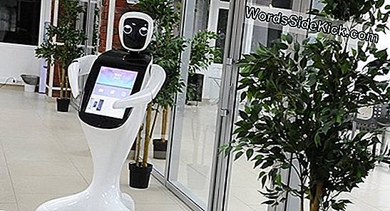 Robot Kassier Leert Messen Afhandelen... Veilig