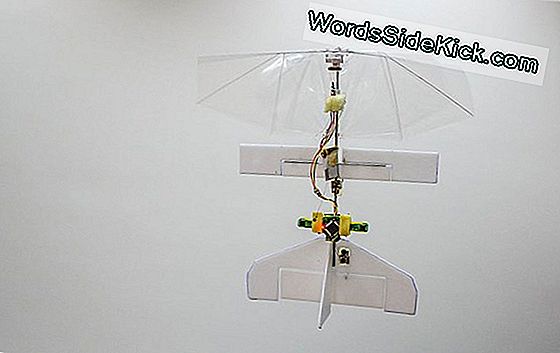 Tiny 'Robot Dragonfly' Ontwijkt Hindernissen Midair, Op Zijn Eigen