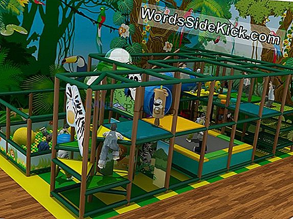 Jungle Gym: Villieläimet Ajetaan Pyörillä Hauskaa