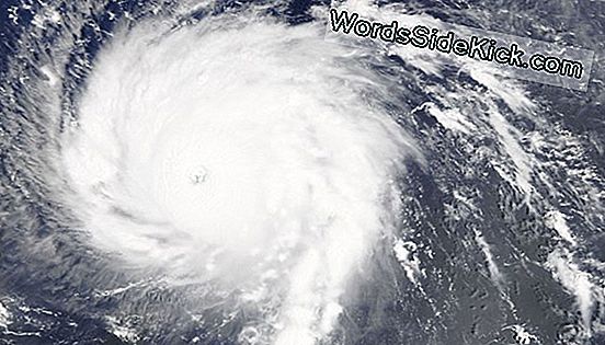 Orkaan Irma Nu Een Categorie 5 Storm: Wat Dat Betekent
