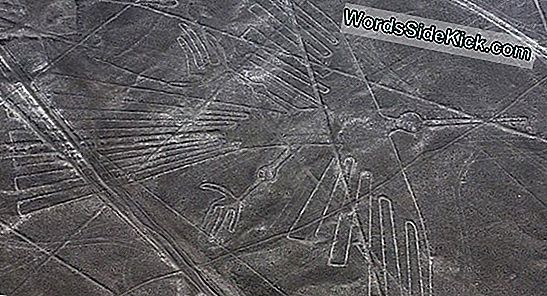 Nazca Lines: Mysterious Geoglyphs In Peru