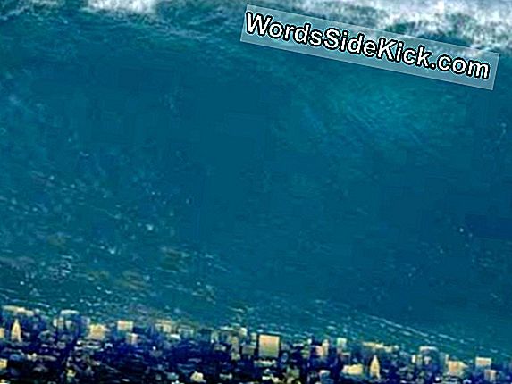 Faux Tsunamis Sur La Côte Pacifique Et Le Mercredi Des Caraïbes