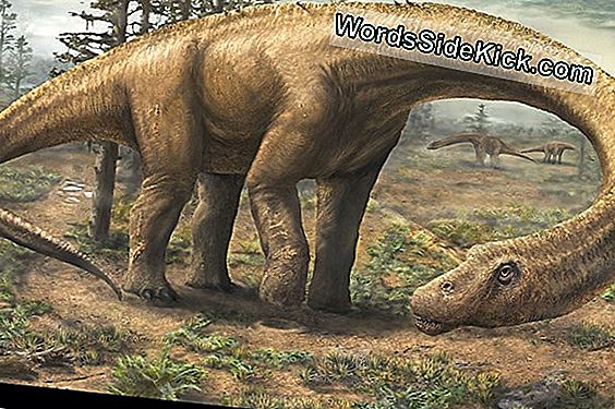 Dreadnoughtus Dinosaur Tezio Je Punih 65 Tona Ne Plaseci Se Nicega 2021 Zivotinje