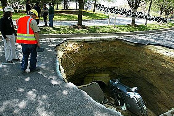 Sinkholes: New Study Digs For Understanding
