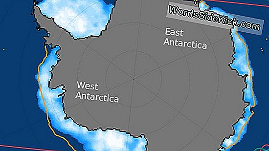 Opposti Polari: Perché I Cambiamenti Climatici Influenzano L'Artico E L'Antartico In Modo Diverso