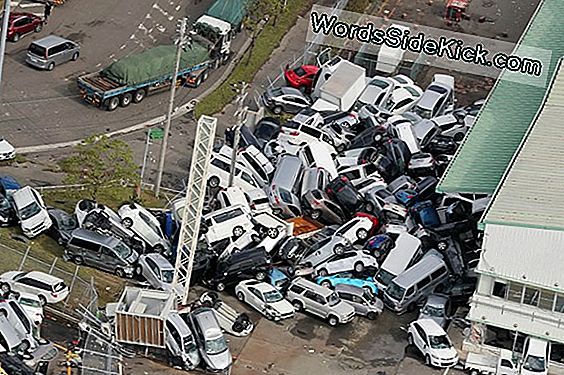 Caldo Caldo Caldo! Sensori Di Temperatura Del Terremoto Del Giappone Raccolti