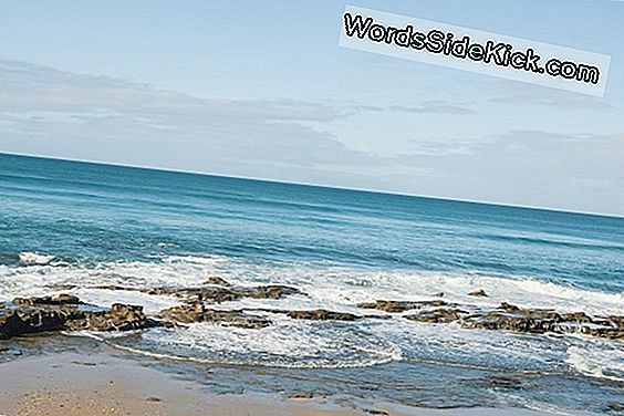 Poopy Situation Down Under: Waarom 36 Australische Stranden Gesloten Waren