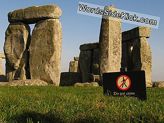 Nuova Idea Controversa Su Stonehenge Gli Archeologi Scuotono La Testa