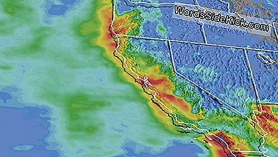 Tornado Alėja Kur Susidaro Twisters 2021 Planeta Zemė