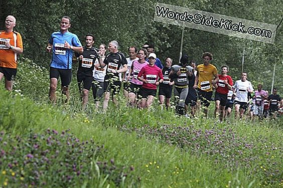 Amateur Marathonlopers Lopen Het Risico Op Hartschade