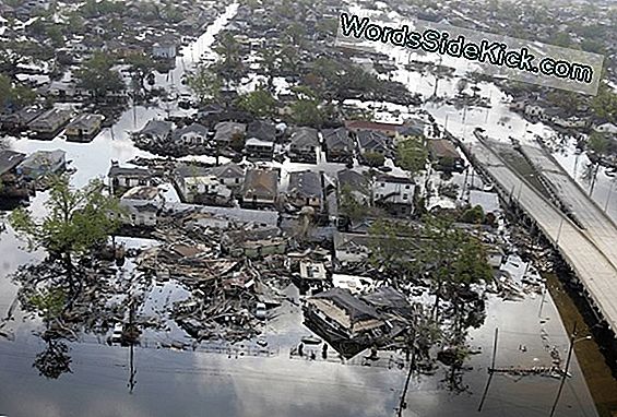 Before & After Satellite Foto'S Van De Mississippi Flood In Memphis
