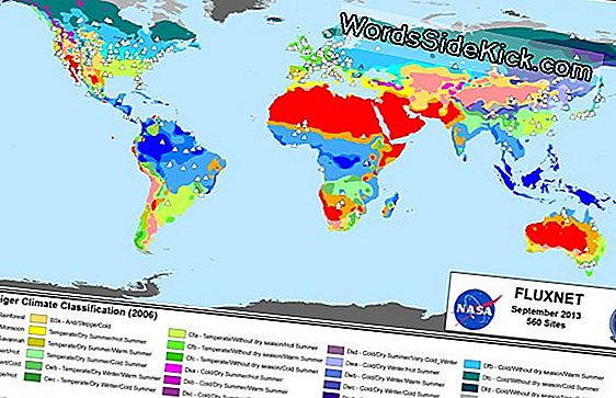 Climates Noord En Zuid Van Equator Said Linked