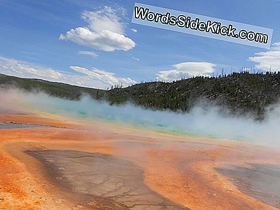 Yellowstone-Vulkaan Stijgt Met Ongekende Snelheid