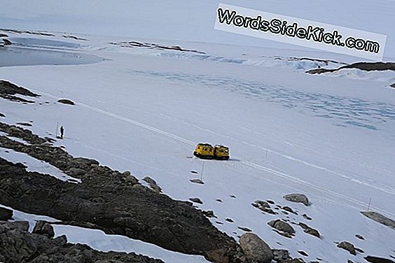 Antarctica-Experiment Ontdekt Puzzelspel Ray-Patroon