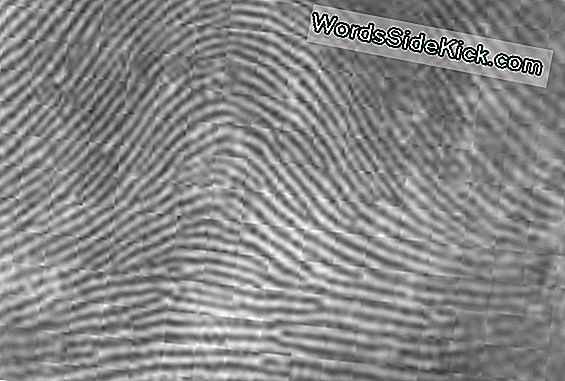 The Real Crime: 1,000 Errors In Fingerprint Matching Every Year