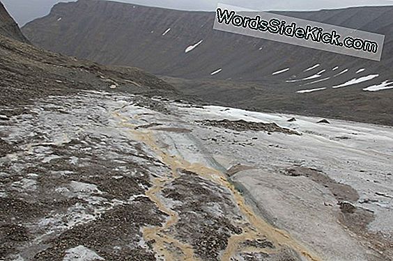 Sidewalk Science: Hoe Water Boven Je Schoenen Spettert