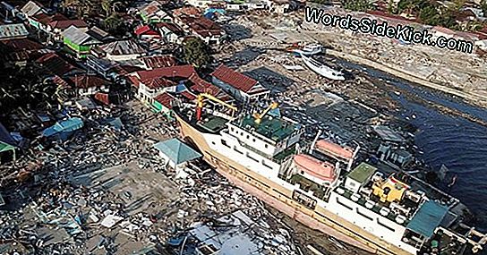 Tsunami-Waarschuwingssysteem Heeft Samoanen Niet Geholpen
